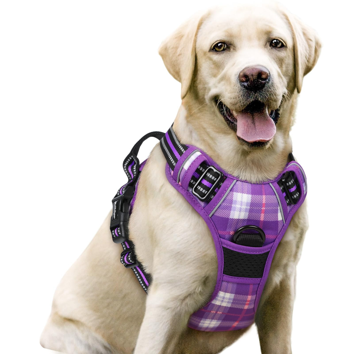 rabbitgoo Dog Harness No Pull with 2 Leash Clips, Adjustable Soft Padded, Reflective Oxford No Choke Pet Vest with Easy Control Handle for Large Dogs