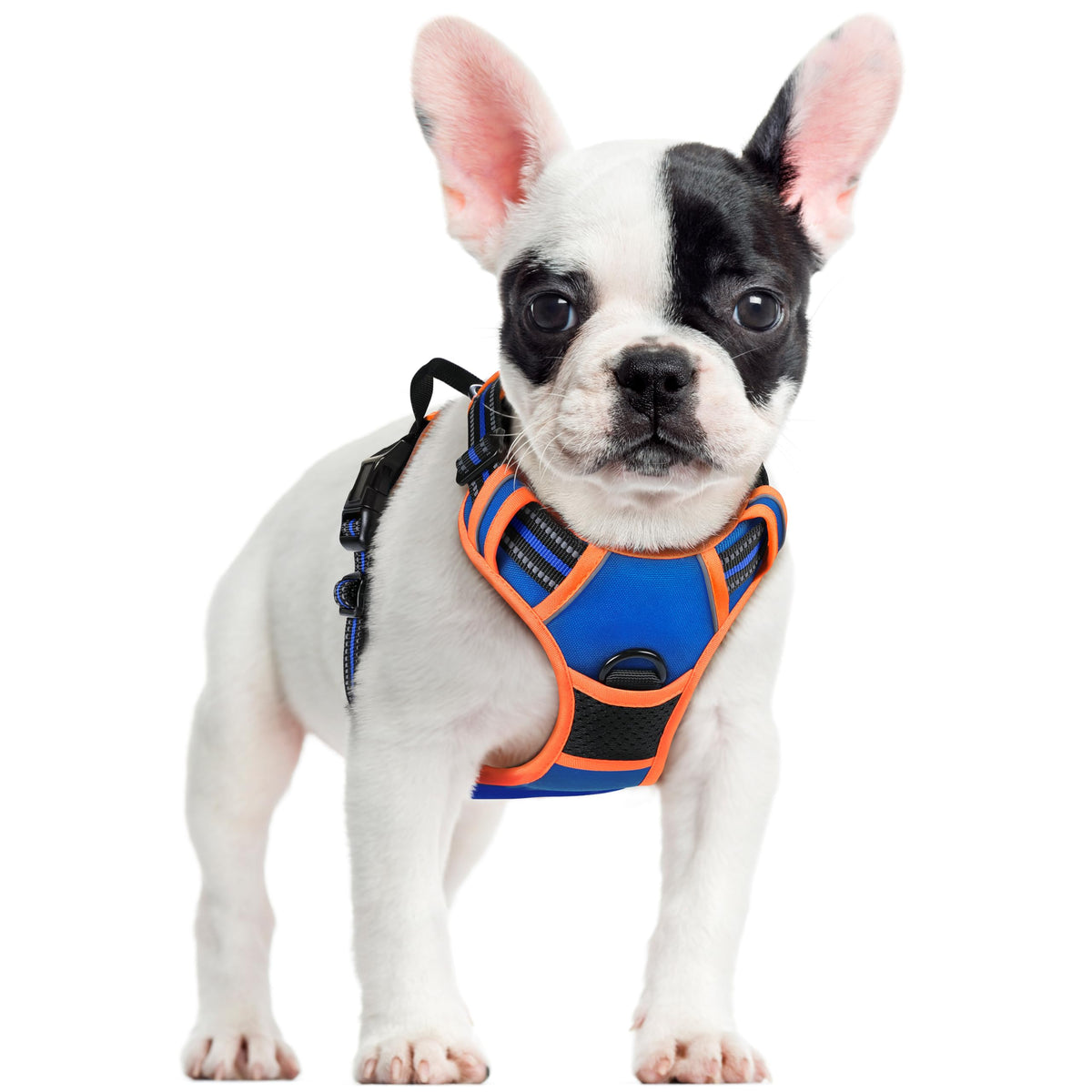 rabbitgoo Dog Harness No Pull with 2 Leash Clips, Adjustable Soft Padded, Reflective Oxford No Choke Pet Vest with Easy Control Handle for Large Dogs