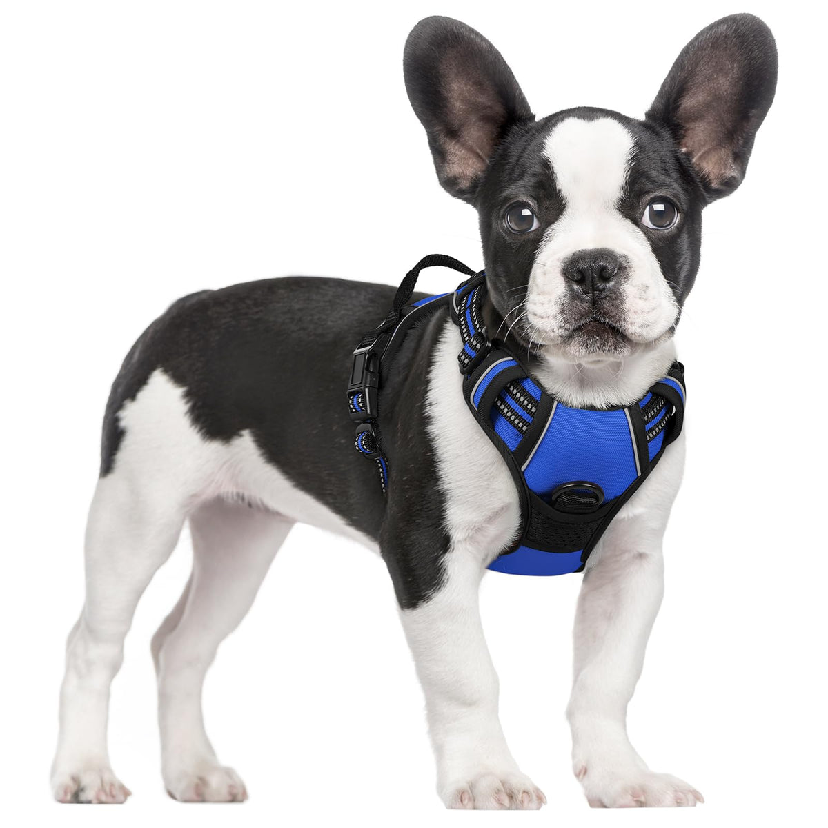 rabbitgoo Dog Harness No Pull with 2 Leash Clips, Adjustable Soft Padded, Reflective Oxford No Choke Pet Vest with Easy Control Handle for Large Dogs