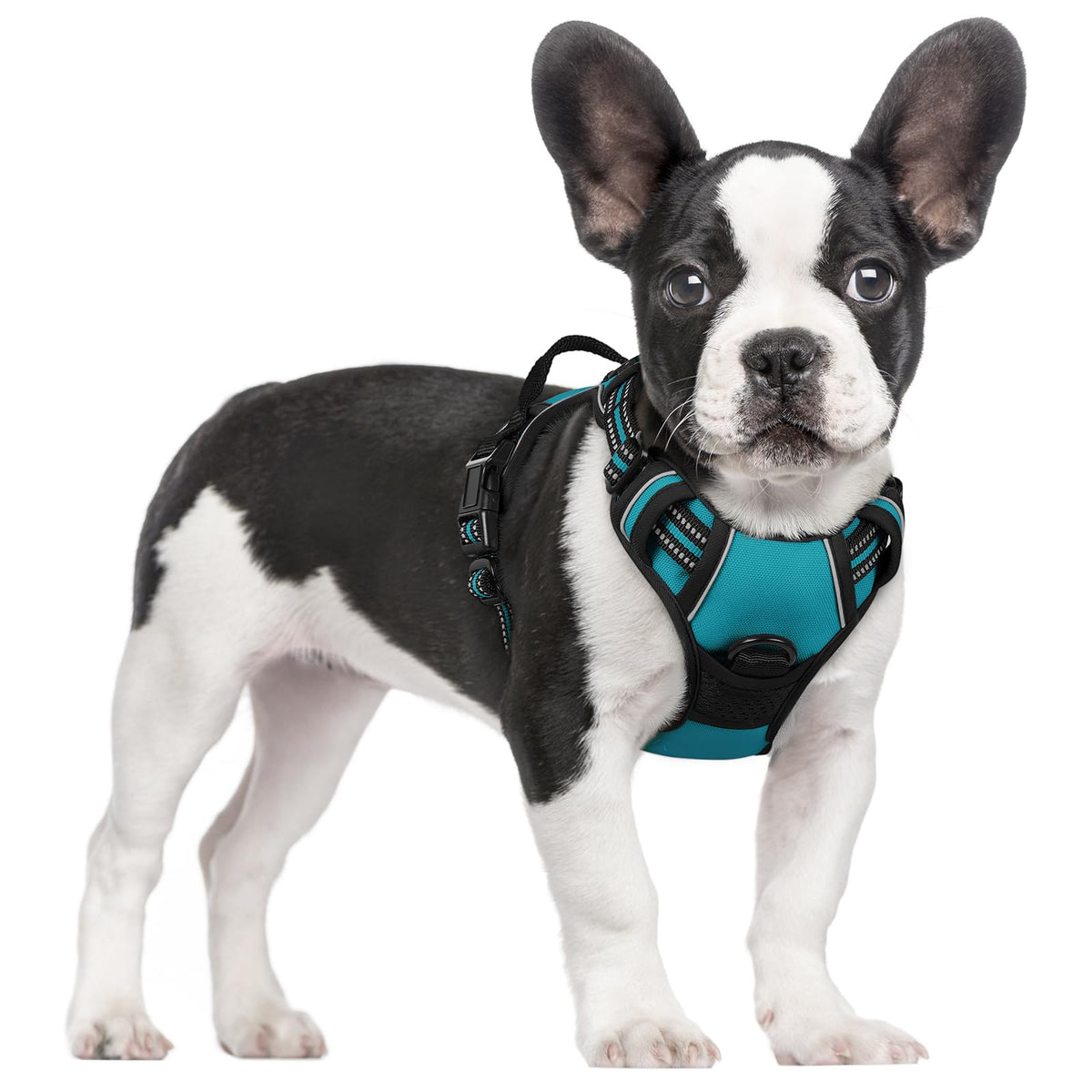 rabbitgoo Dog Harness No Pull with 2 Leash Clips, Adjustable Soft Padded, Reflective Oxford No Choke Pet Vest with Easy Control Handle for Large Dogs