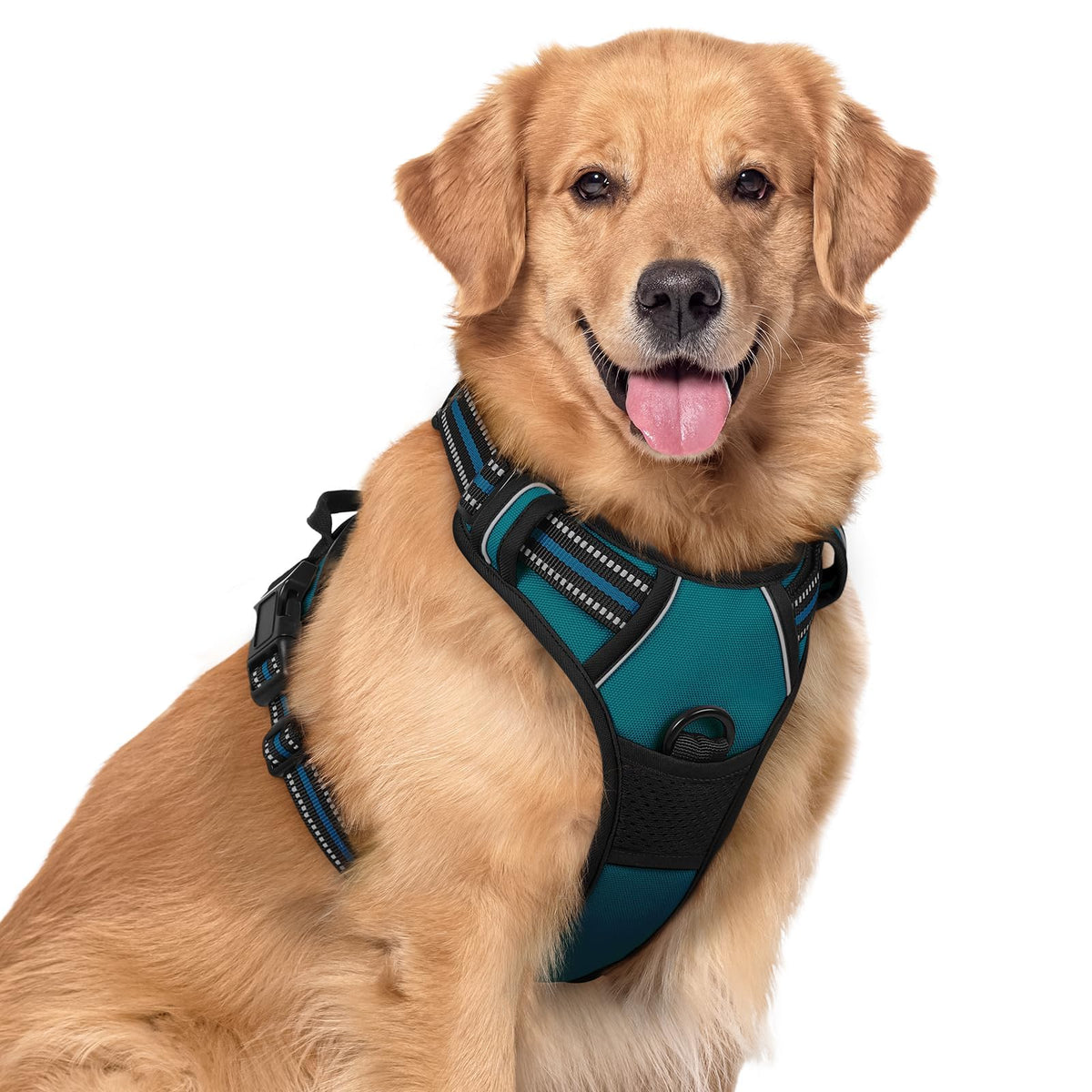 rabbitgoo Dog Harness No Pull with 2 Leash Clips, Adjustable Soft Padded, Reflective Oxford No Choke Pet Vest with Easy Control Handle for Large Dogs