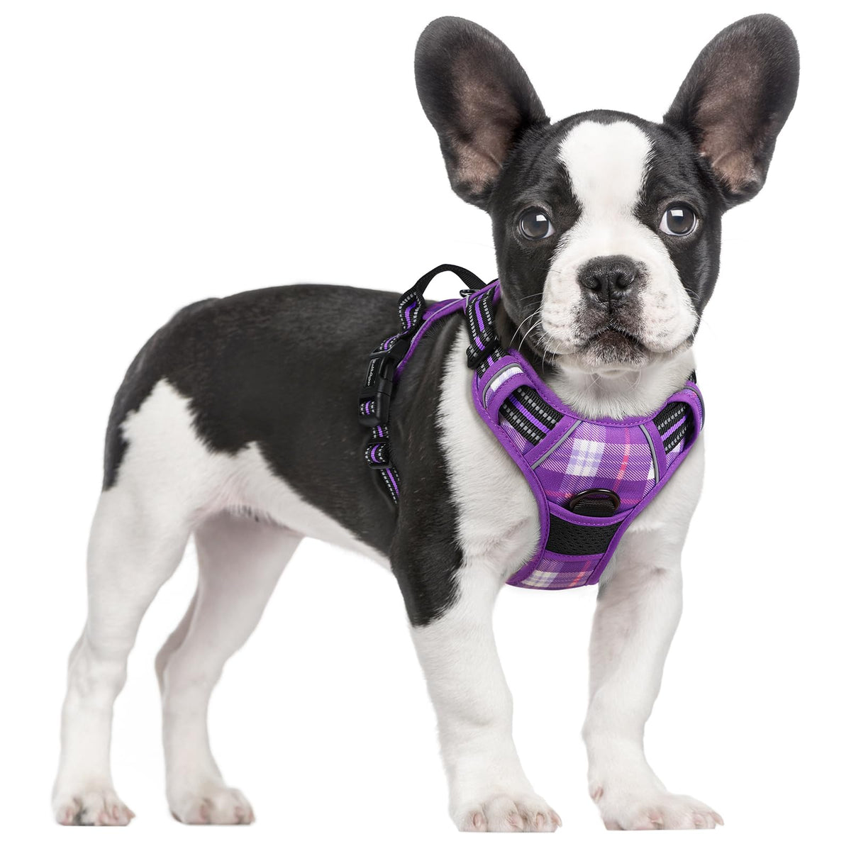 rabbitgoo Dog Harness No Pull with 2 Leash Clips, Adjustable Soft Padded, Reflective Oxford No Choke Pet Vest with Easy Control Handle for Large Dogs