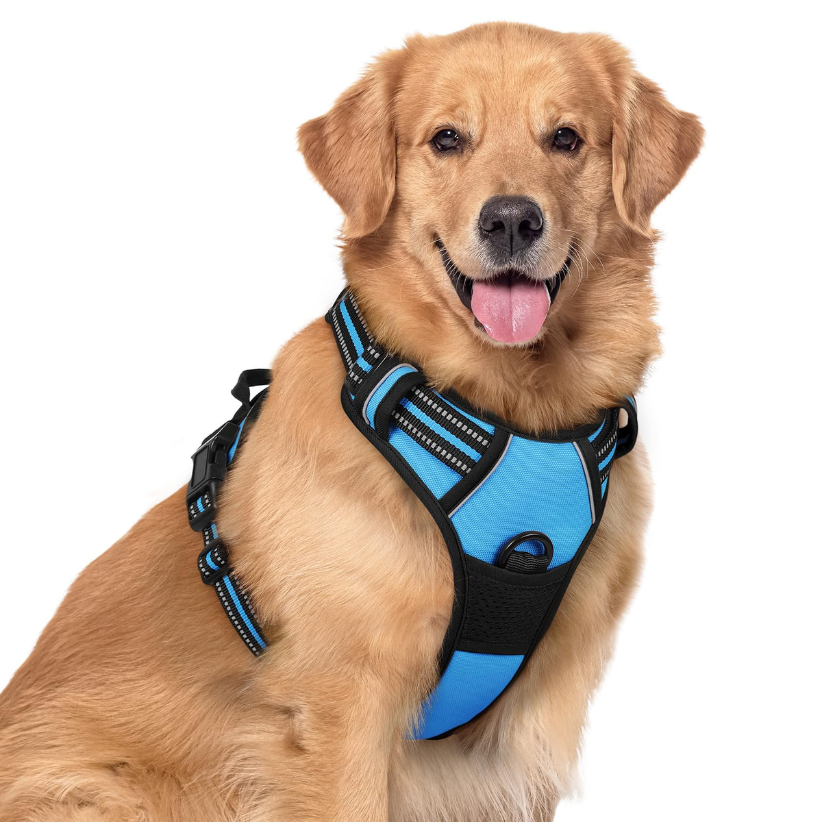 rabbitgoo Dog Harness No Pull with 2 Leash Clips, Adjustable Soft Padded, Reflective Oxford No Choke Pet Vest with Easy Control Handle for Large Dogs
