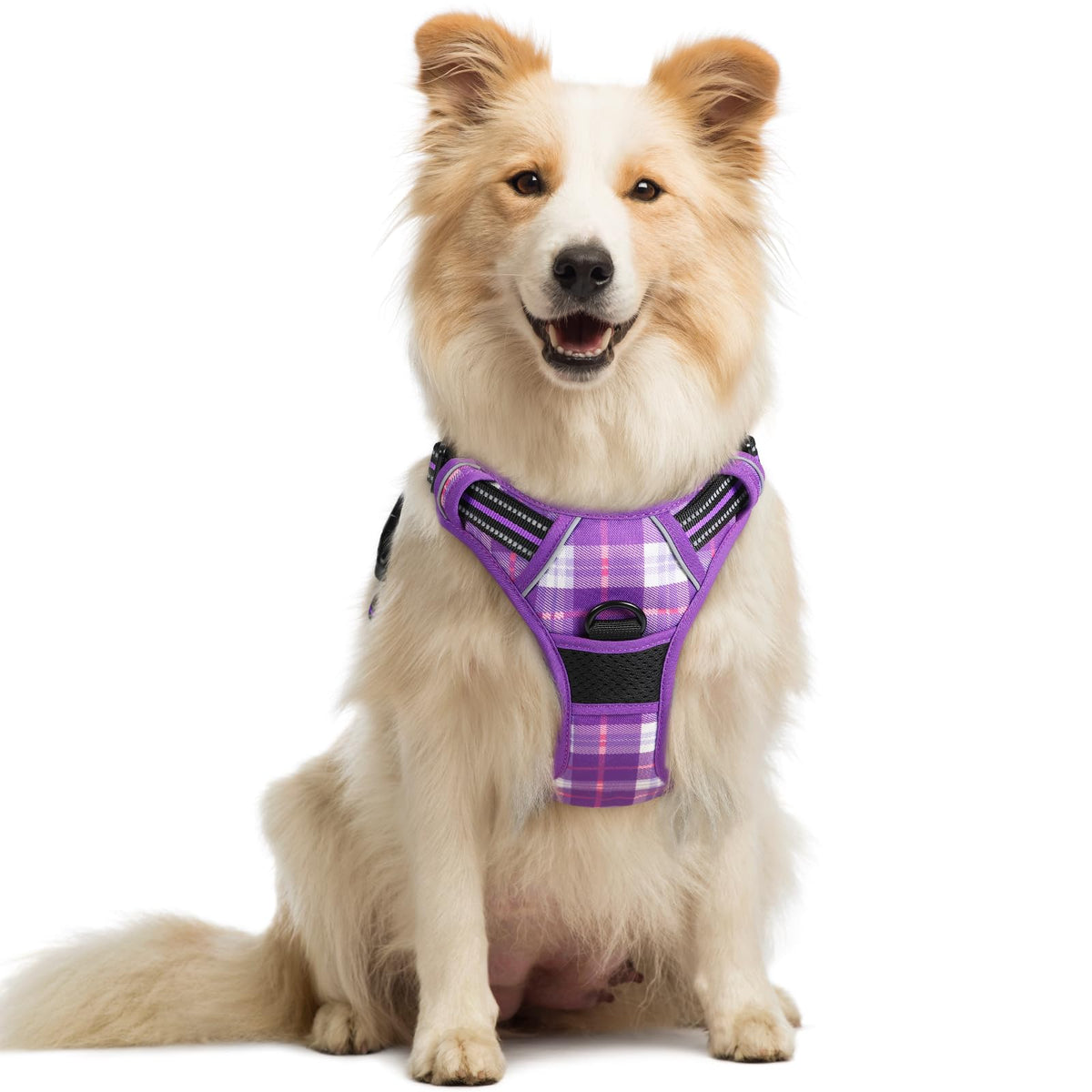 rabbitgoo Dog Harness No Pull with 2 Leash Clips, Adjustable Soft Padded, Reflective Oxford No Choke Pet Vest with Easy Control Handle for Large Dogs
