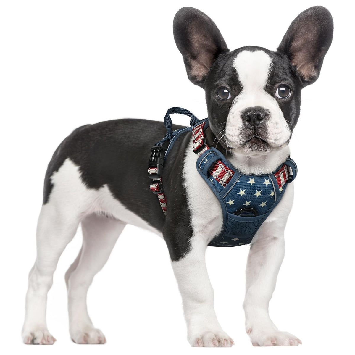 rabbitgoo Dog Harness No Pull with 2 Leash Clips, Adjustable Soft Padded, Reflective Oxford No Choke Pet Vest with Easy Control Handle for Large Dogs