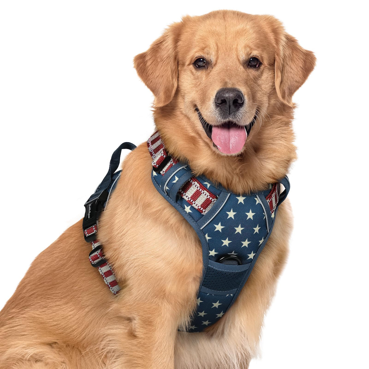 rabbitgoo Dog Harness No Pull with 2 Leash Clips, Adjustable Soft Padded, Reflective Oxford No Choke Pet Vest with Easy Control Handle for Large Dogs