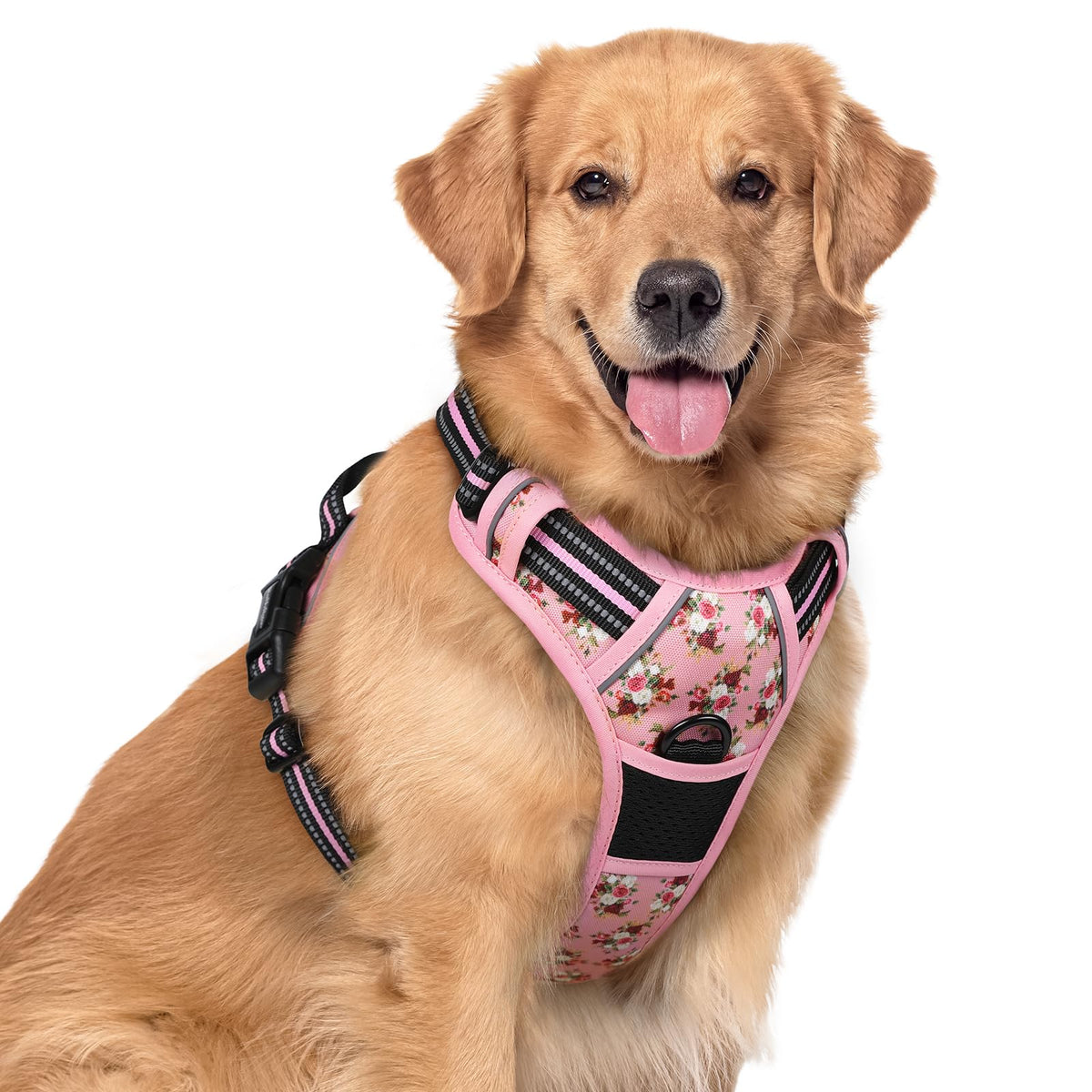 rabbitgoo Dog Harness No Pull with 2 Leash Clips, Adjustable Soft Padded, Reflective Oxford No Choke Pet Vest with Easy Control Handle for Large Dogs