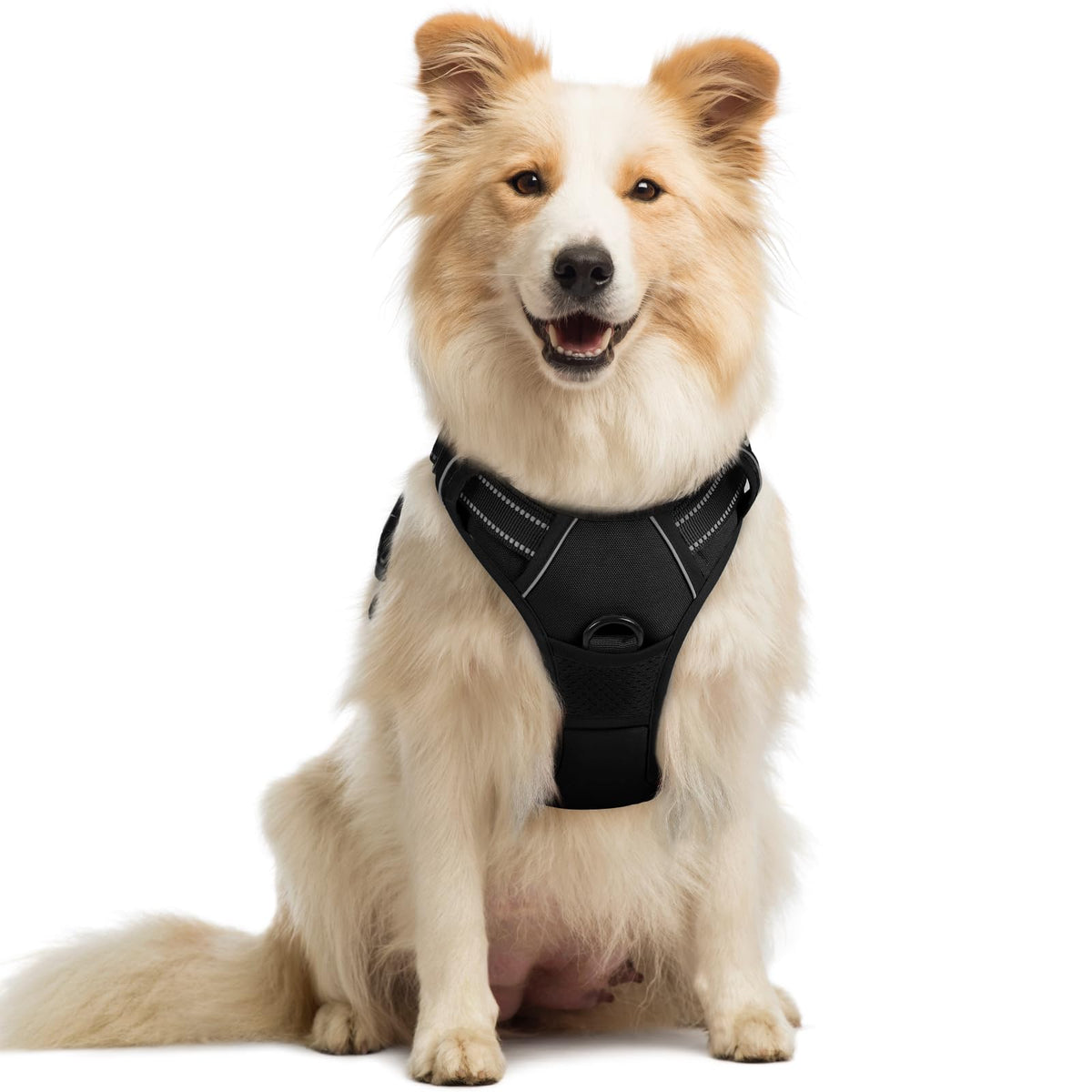 rabbitgoo Dog Harness No Pull with 2 Leash Clips, Adjustable Soft Padded, Reflective Oxford No Choke Pet Vest with Easy Control Handle for Large Dogs - Sasa
