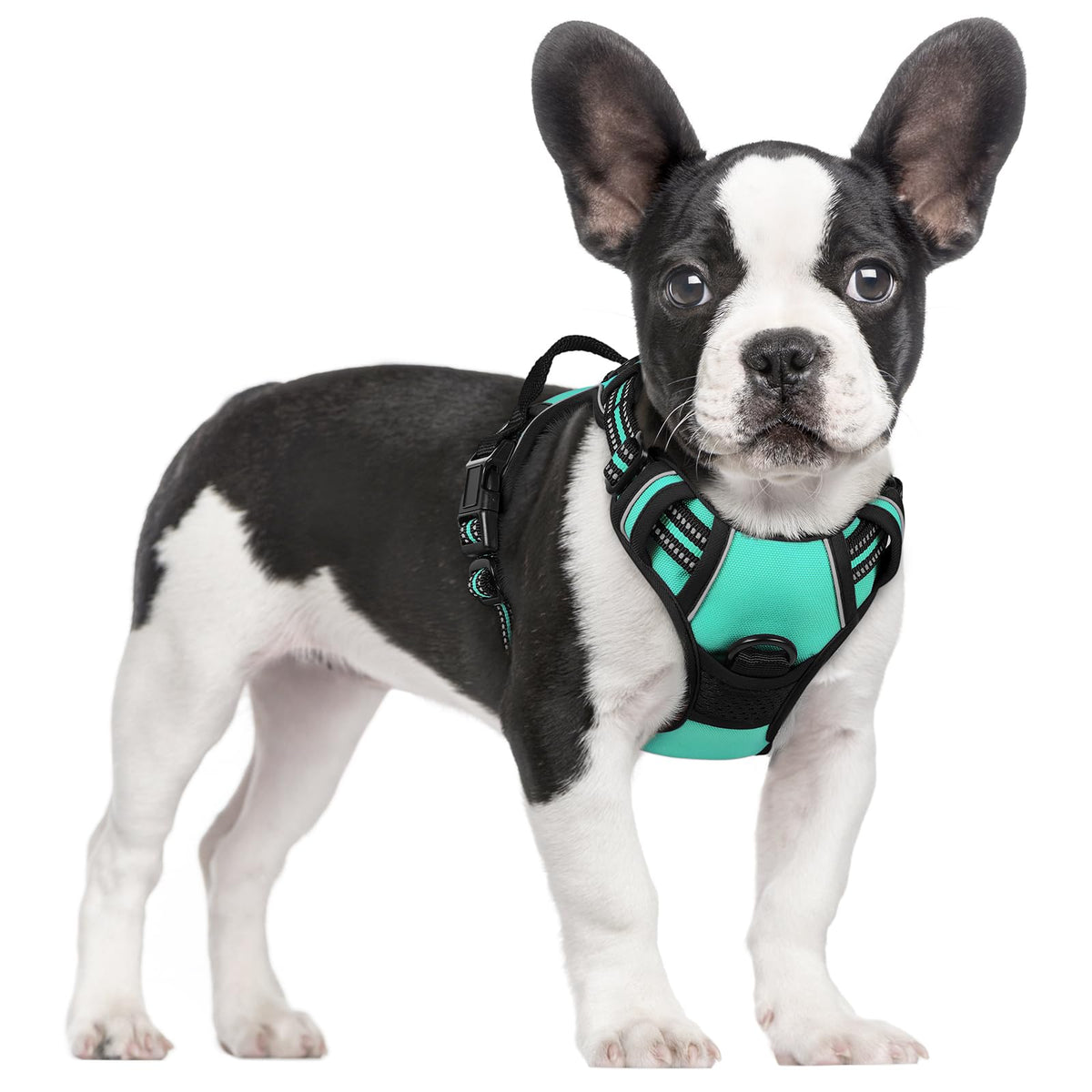 rabbitgoo Dog Harness No Pull with 2 Leash Clips, Adjustable Soft Padded, Reflective Oxford No Choke Pet Vest with Easy Control Handle for Large Dogs - Sasa
