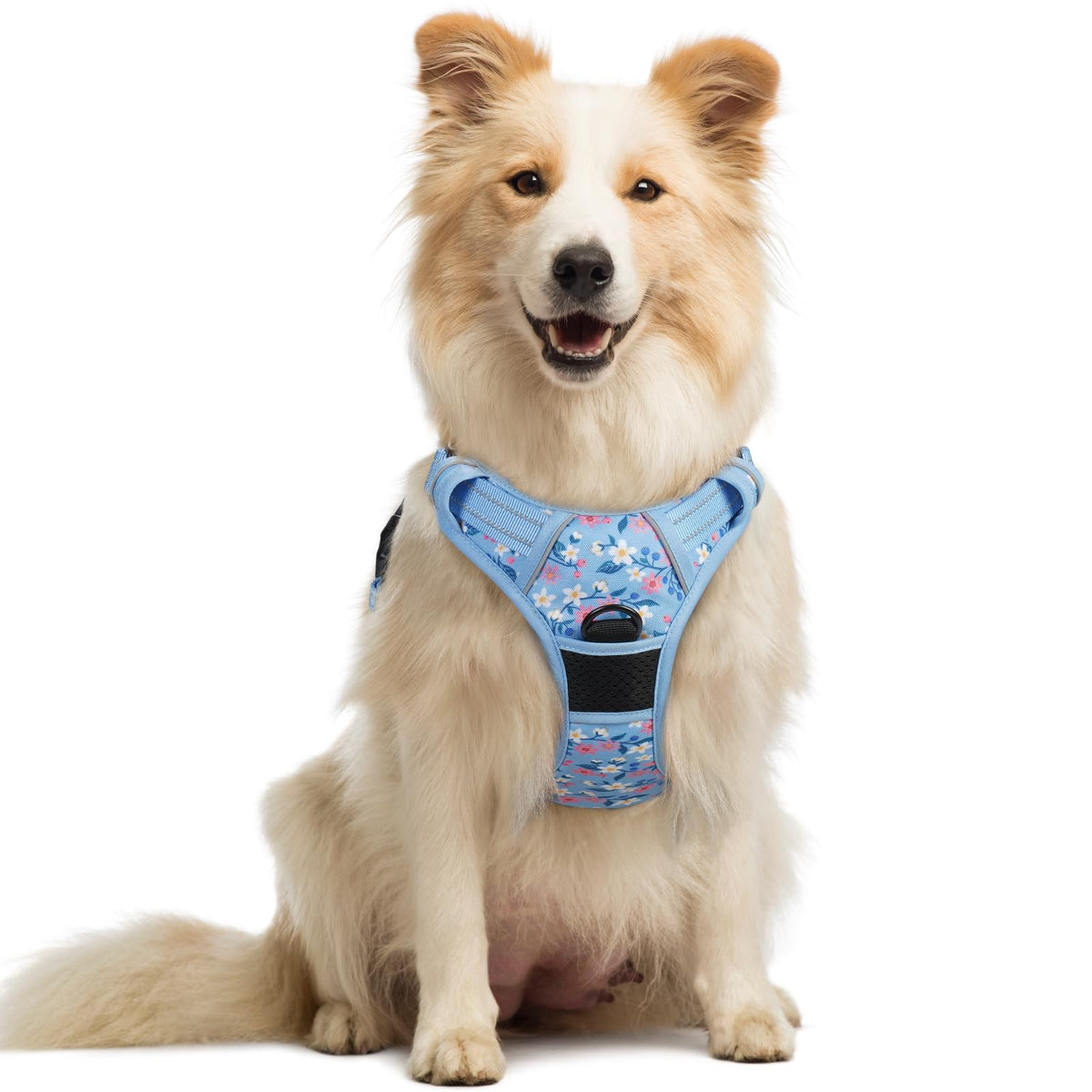 rabbitgoo Dog Harness No Pull with 2 Leash Clips, Adjustable Soft Padded, Reflective Oxford No Choke Pet Vest with Easy Control Handle for Large Dogs