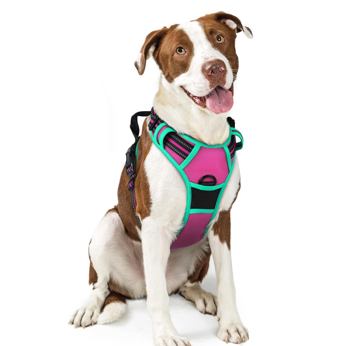 rabbitgoo Dog Harness No Pull with 2 Leash Clips, Adjustable Soft Padded, Reflective Oxford No Choke Pet Vest with Easy Control Handle for Large Dogs