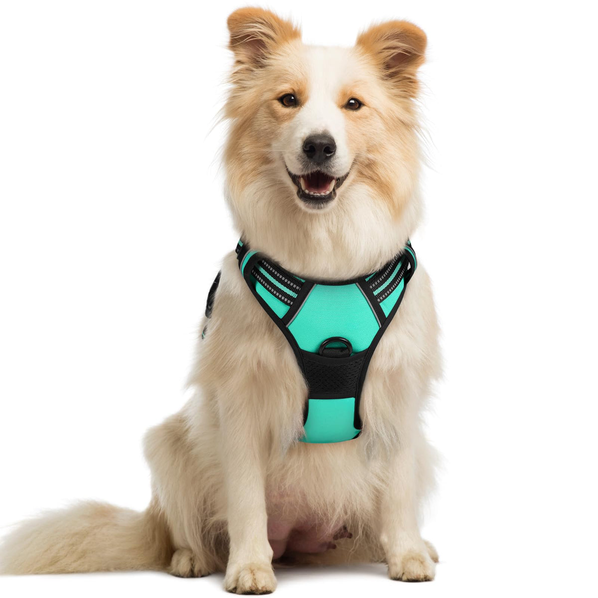 rabbitgoo Dog Harness No Pull with 2 Leash Clips, Adjustable Soft Padded, Reflective Oxford No Choke Pet Vest with Easy Control Handle for Large Dogs