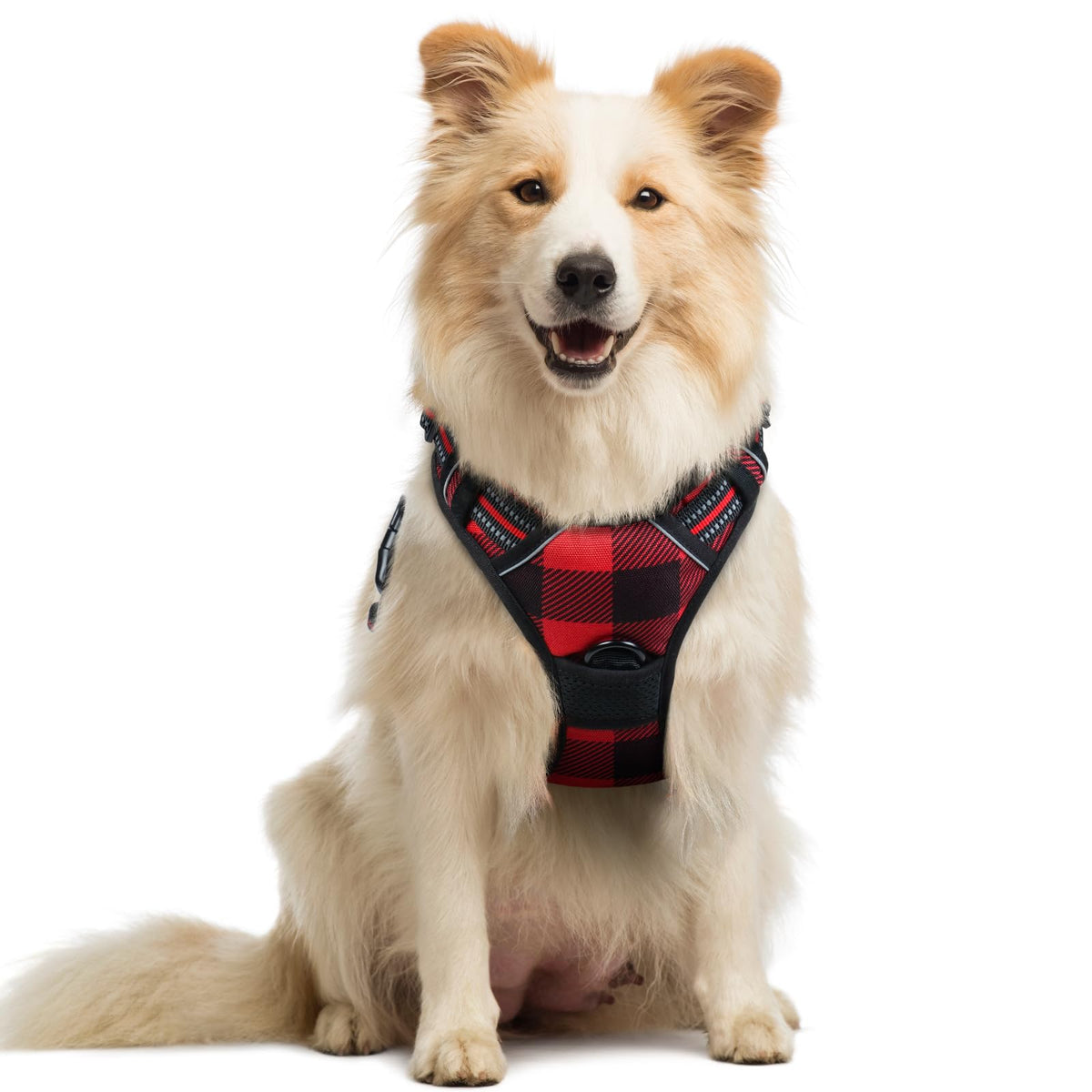 rabbitgoo Dog Harness No Pull with 2 Leash Clips, Adjustable Soft Padded, Reflective Oxford No Choke Pet Vest with Easy Control Handle for Large Dogs