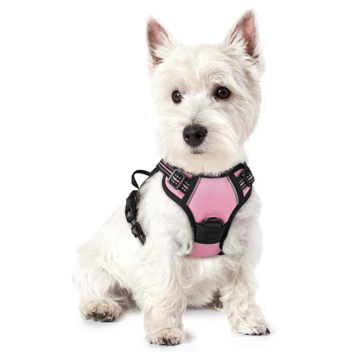 rabbitgoo Dog Harness No Pull with 2 Leash Clips, Adjustable Soft Padded, Reflective Oxford No Choke Pet Vest with Easy Control Handle for Large Dogs