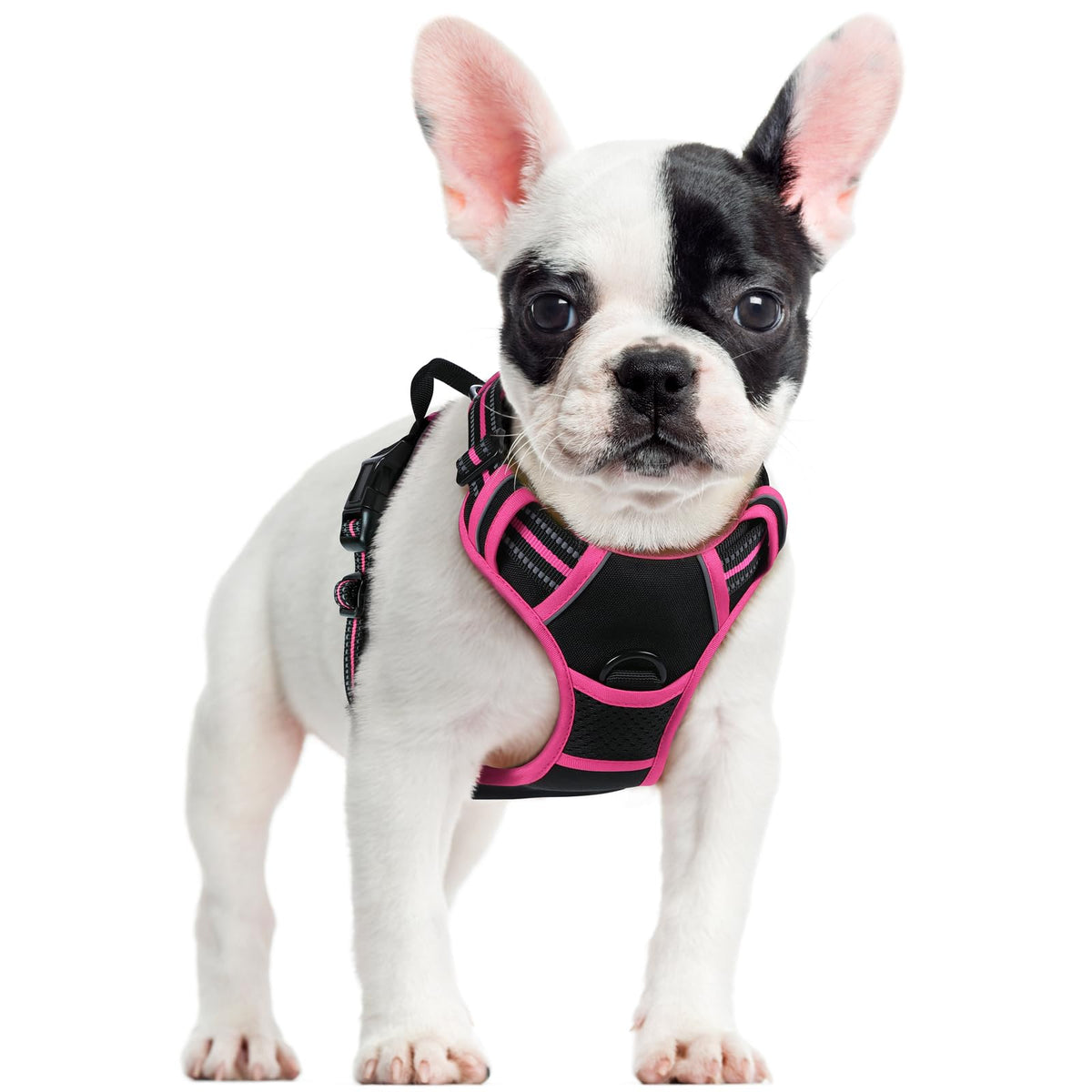 rabbitgoo Dog Harness No Pull with 2 Leash Clips, Adjustable Soft Padded, Reflective Oxford No Choke Pet Vest with Easy Control Handle for Large Dogs