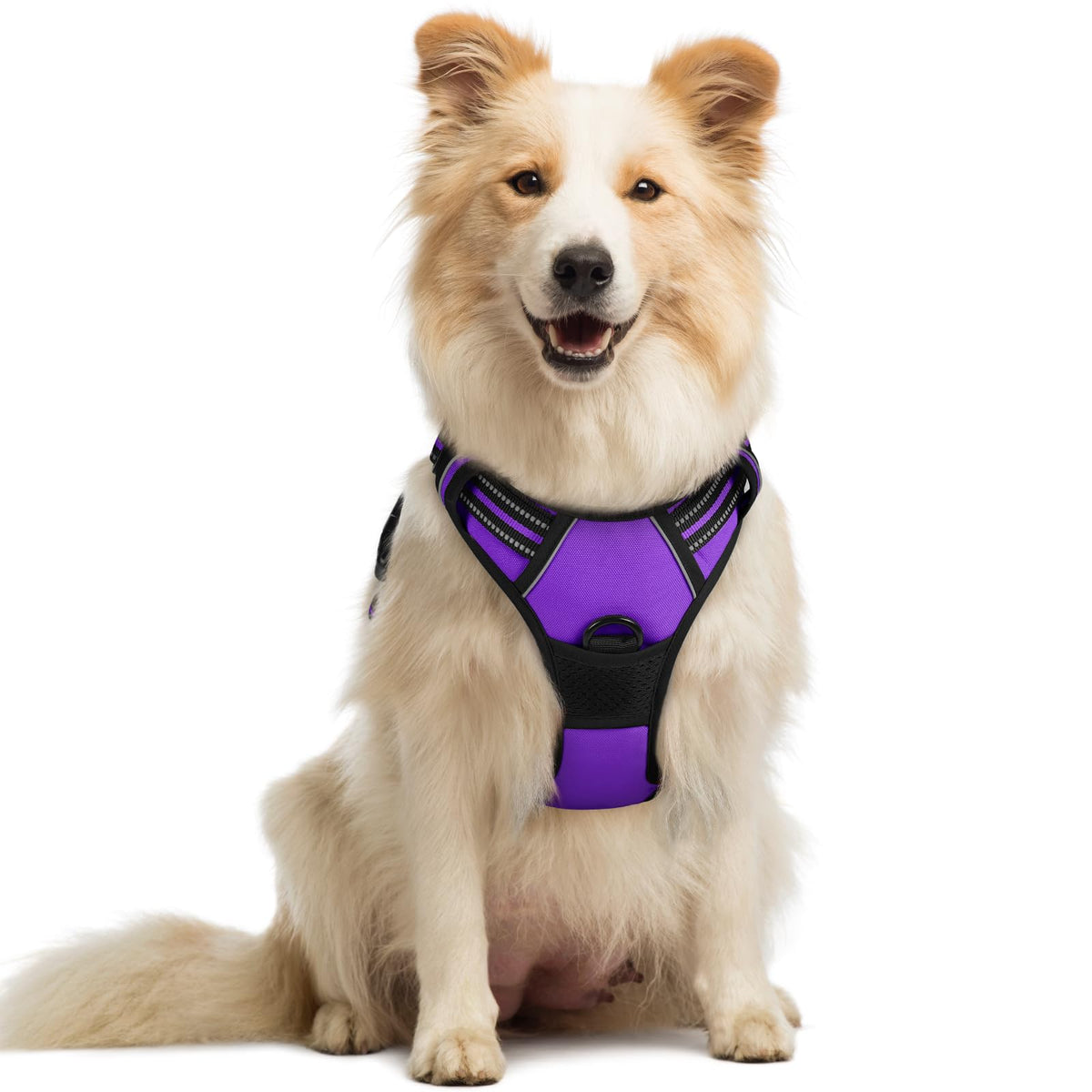 rabbitgoo Dog Harness No Pull with 2 Leash Clips, Adjustable Soft Padded, Reflective Oxford No Choke Pet Vest with Easy Control Handle for Large Dogs