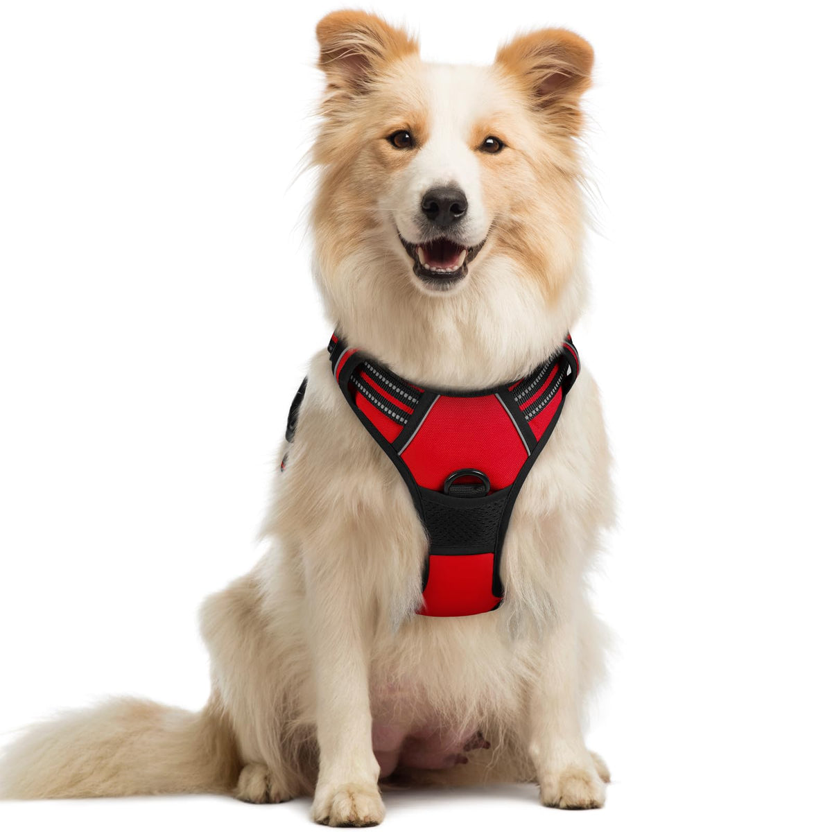 rabbitgoo Dog Harness No Pull with 2 Leash Clips, Adjustable Soft Padded, Reflective Oxford No Choke Pet Vest with Easy Control Handle for Large Dogs