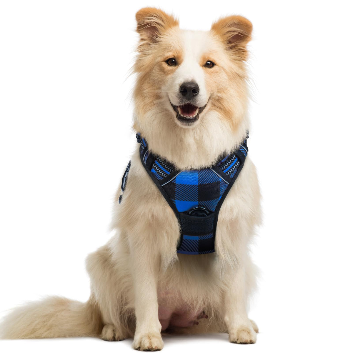 rabbitgoo Dog Harness No Pull with 2 Leash Clips, Adjustable Soft Padded, Reflective Oxford No Choke Pet Vest with Easy Control Handle for Large Dogs