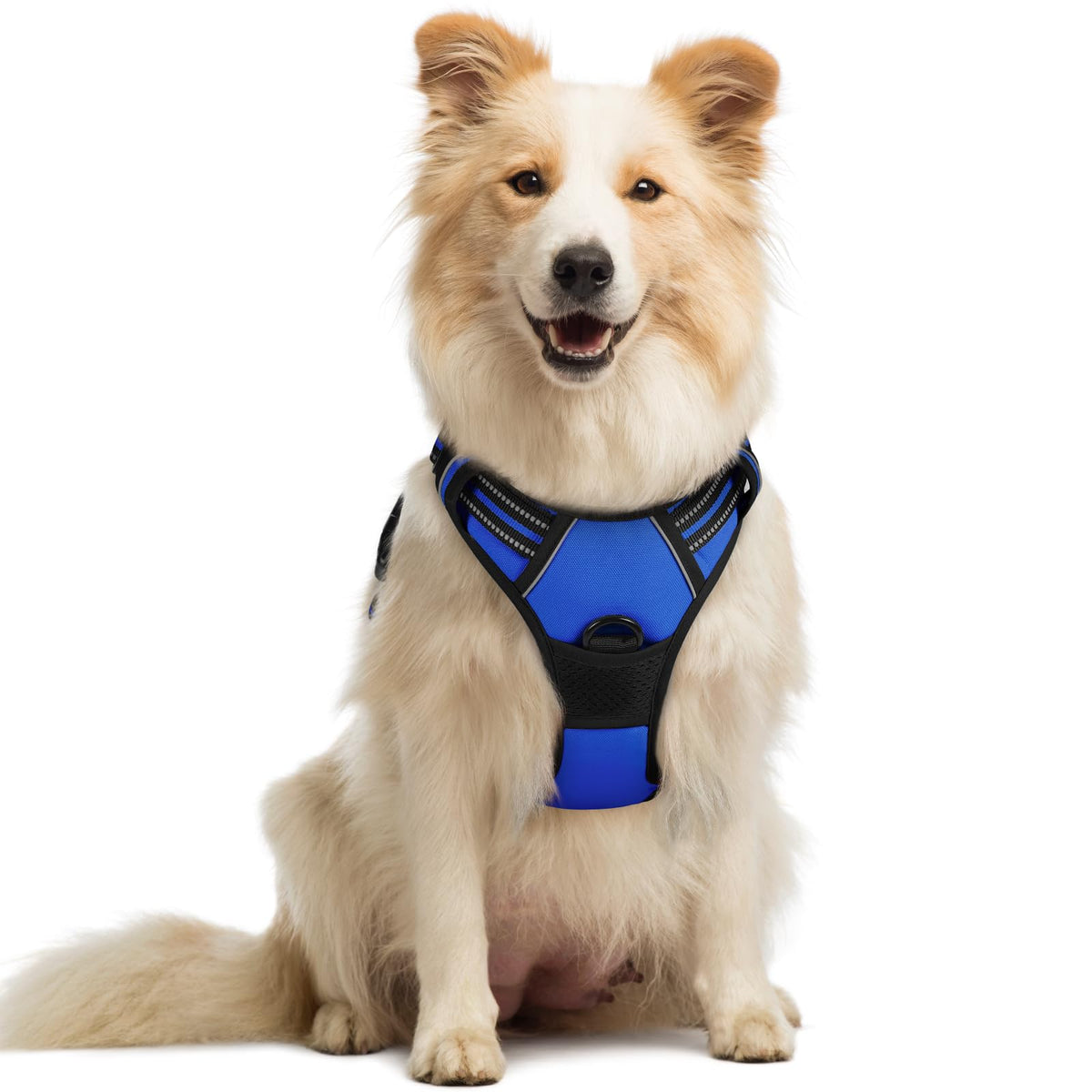 rabbitgoo Dog Harness No Pull with 2 Leash Clips, Adjustable Soft Padded, Reflective Oxford No Choke Pet Vest with Easy Control Handle for Large Dogs