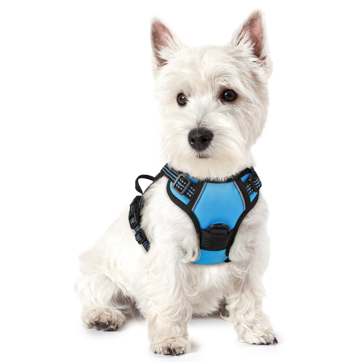rabbitgoo Dog Harness No Pull with 2 Leash Clips, Adjustable Soft Padded, Reflective Oxford No Choke Pet Vest with Easy Control Handle for Large Dogs
