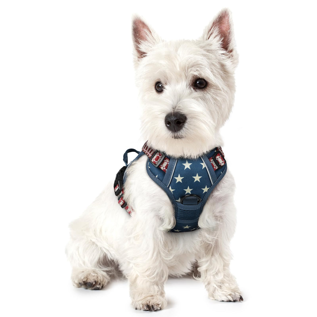 rabbitgoo Dog Harness No Pull with 2 Leash Clips, Adjustable Soft Padded, Reflective Oxford No Choke Pet Vest with Easy Control Handle for Large Dogs