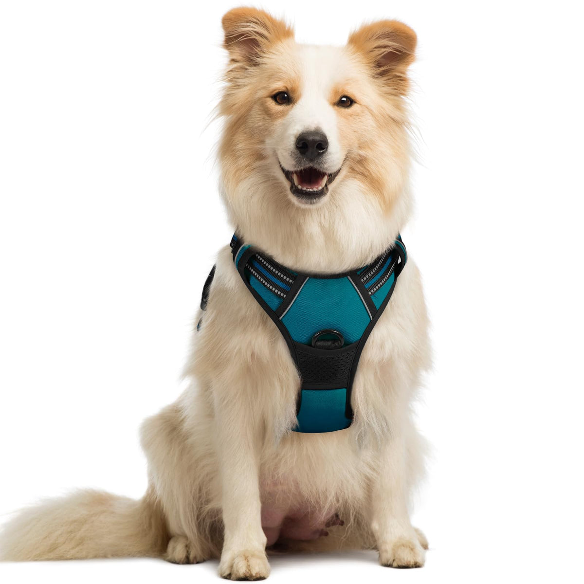 rabbitgoo Dog Harness No Pull with 2 Leash Clips, Adjustable Soft Padded, Reflective Oxford No Choke Pet Vest with Easy Control Handle for Large Dogs