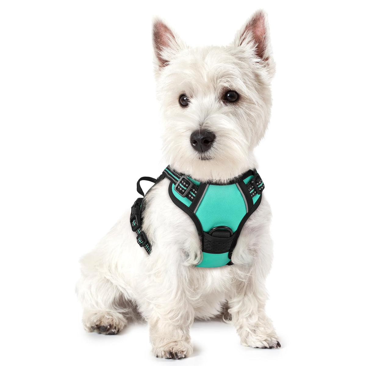 rabbitgoo Dog Harness No Pull with 2 Leash Clips, Adjustable Soft Padded, Reflective Oxford No Choke Pet Vest with Easy Control Handle for Large Dogs