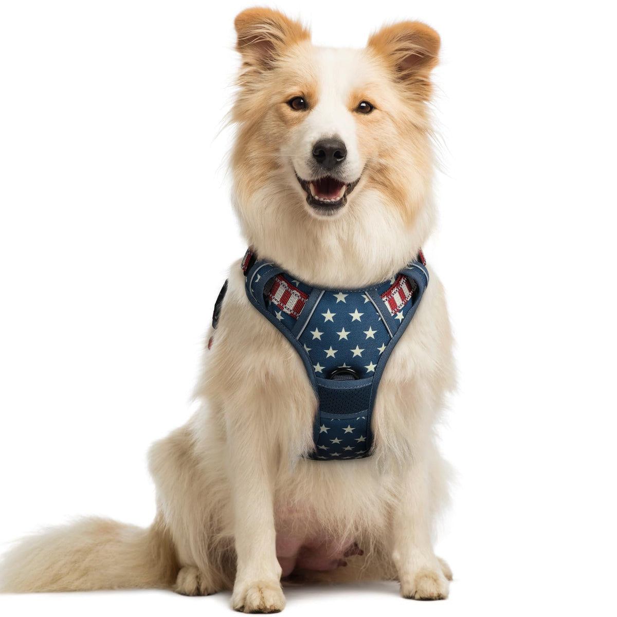 rabbitgoo Dog Harness No Pull with 2 Leash Clips, Adjustable Soft Padded, Reflective Oxford No Choke Pet Vest with Easy Control Handle for Large Dogs