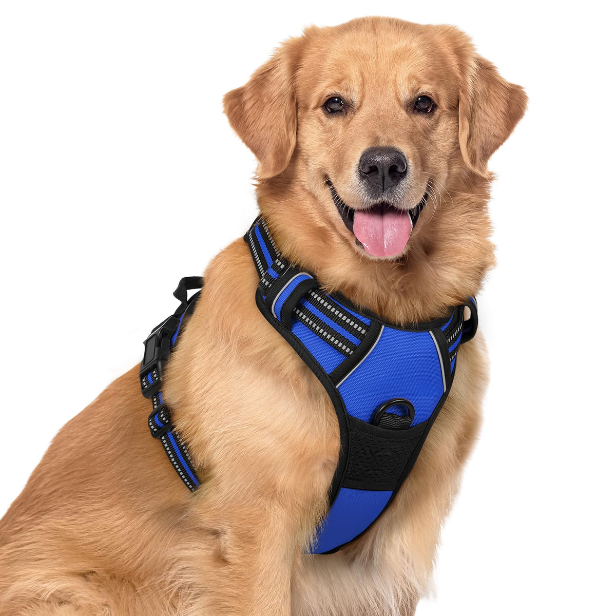rabbitgoo Dog Harness No Pull with 2 Leash Clips, Adjustable Soft Padded, Reflective Oxford No Choke Pet Vest with Easy Control Handle for Large Dogs