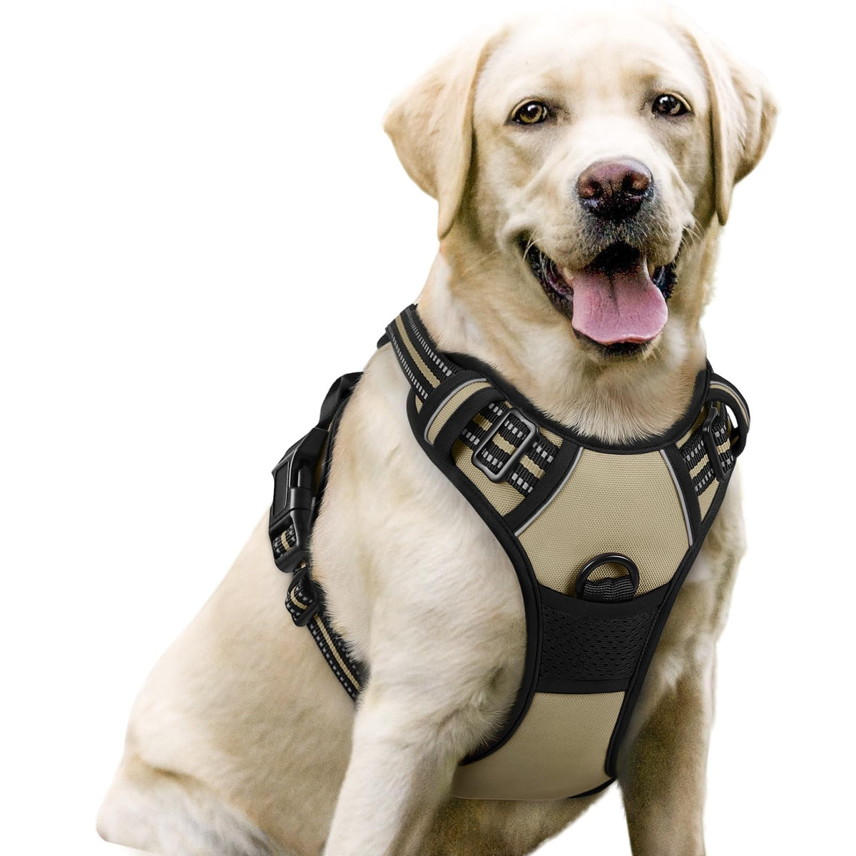 rabbitgoo Dog Harness No Pull with 2 Leash Clips, Adjustable Soft Padded, Reflective Oxford No Choke Pet Vest with Easy Control Handle for Large Dogs