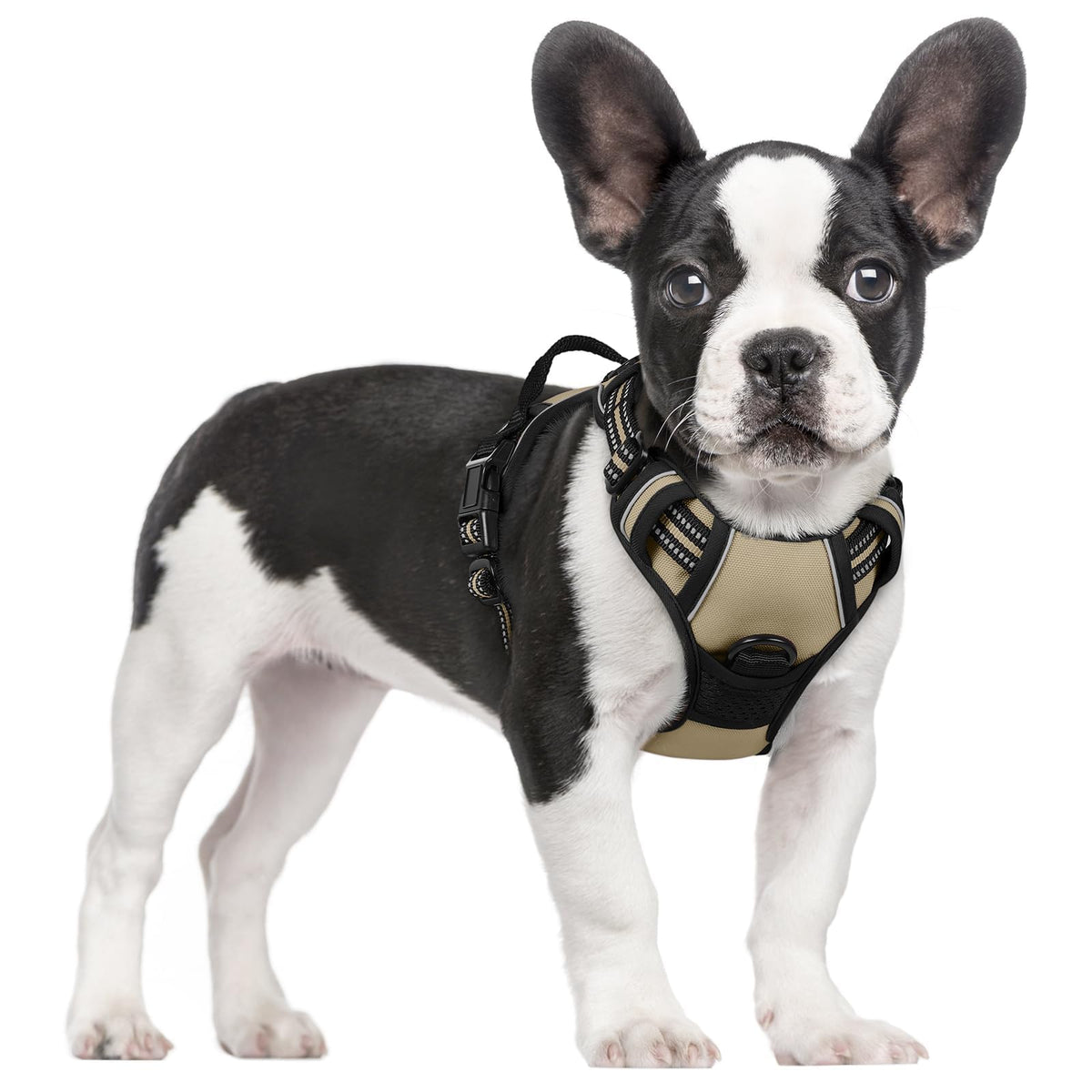 rabbitgoo Dog Harness No Pull with 2 Leash Clips, Adjustable Soft Padded, Reflective Oxford No Choke Pet Vest with Easy Control Handle for Large Dogs