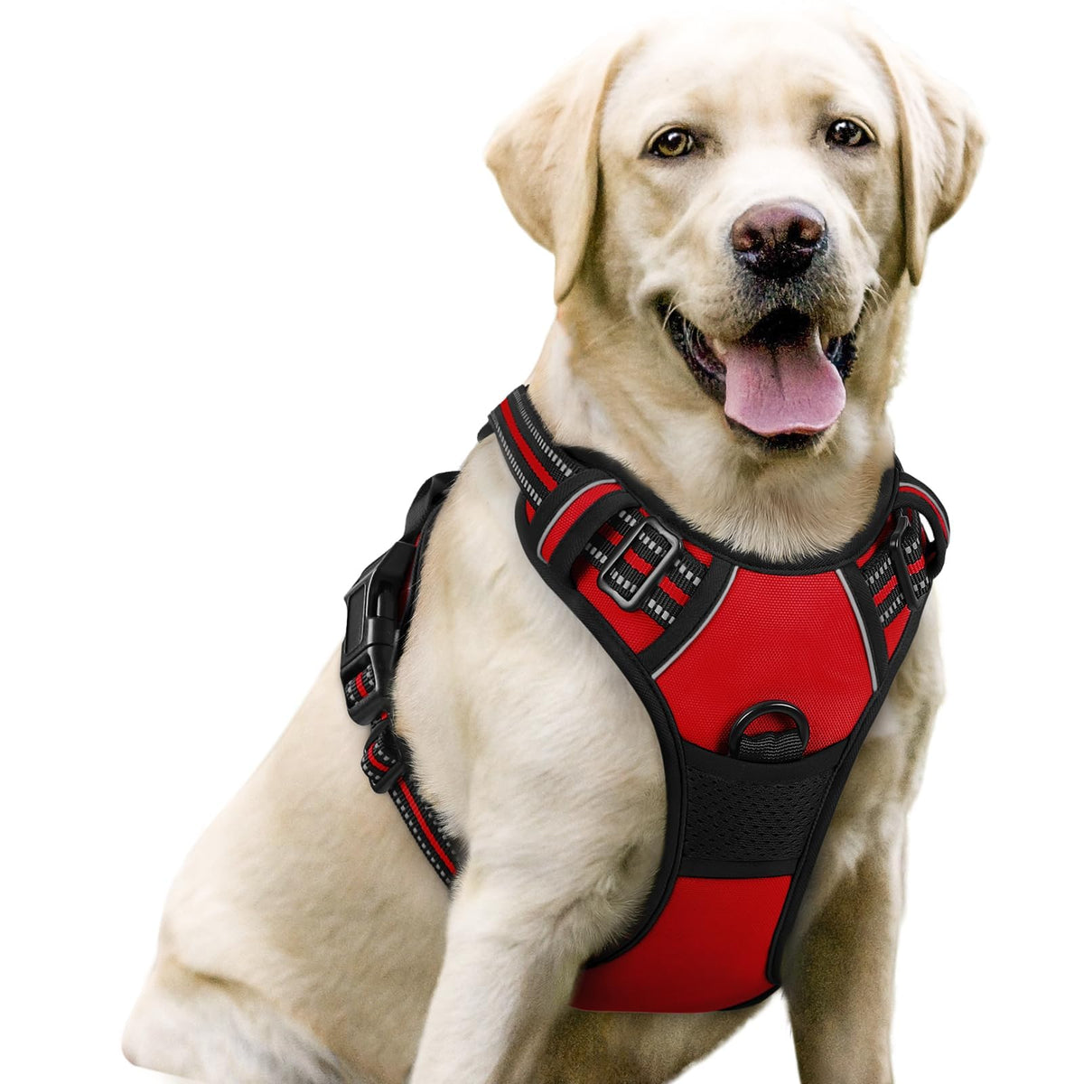 rabbitgoo Dog Harness No Pull with 2 Leash Clips, Adjustable Soft Padded, Reflective Oxford No Choke Pet Vest with Easy Control Handle for Large Dogs