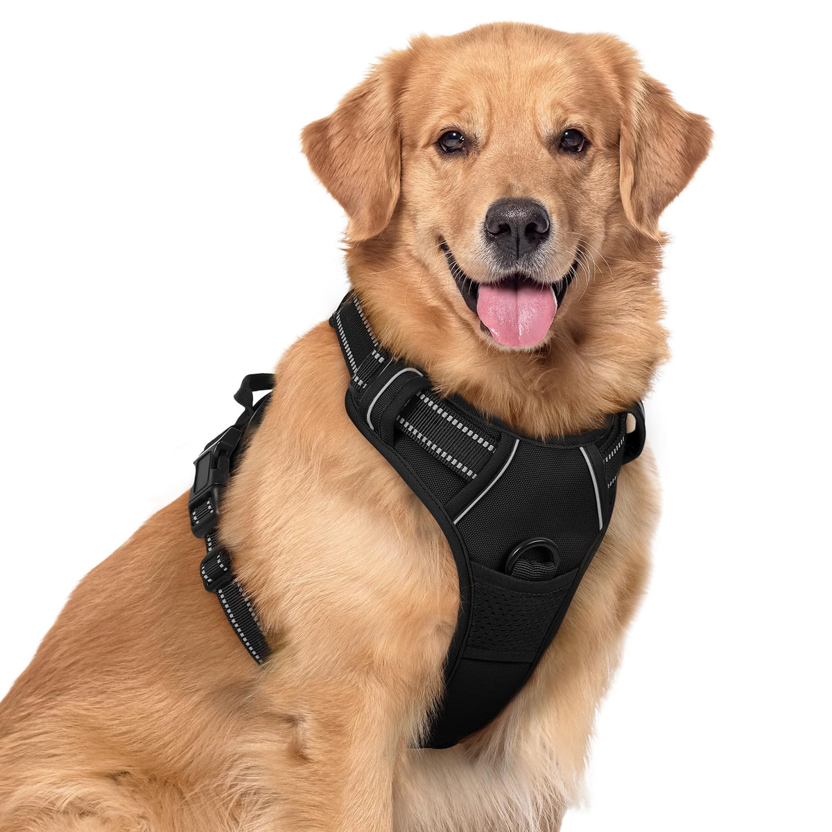rabbitgoo Dog Harness No Pull with 2 Leash Clips, Adjustable Soft Padded, Reflective Oxford No Choke Pet Vest with Easy Control Handle for Large Dogs