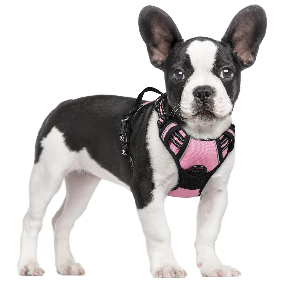 rabbitgoo Dog Harness No Pull with 2 Leash Clips, Adjustable Soft Padded, Reflective Oxford No Choke Pet Vest with Easy Control Handle for Large Dogs