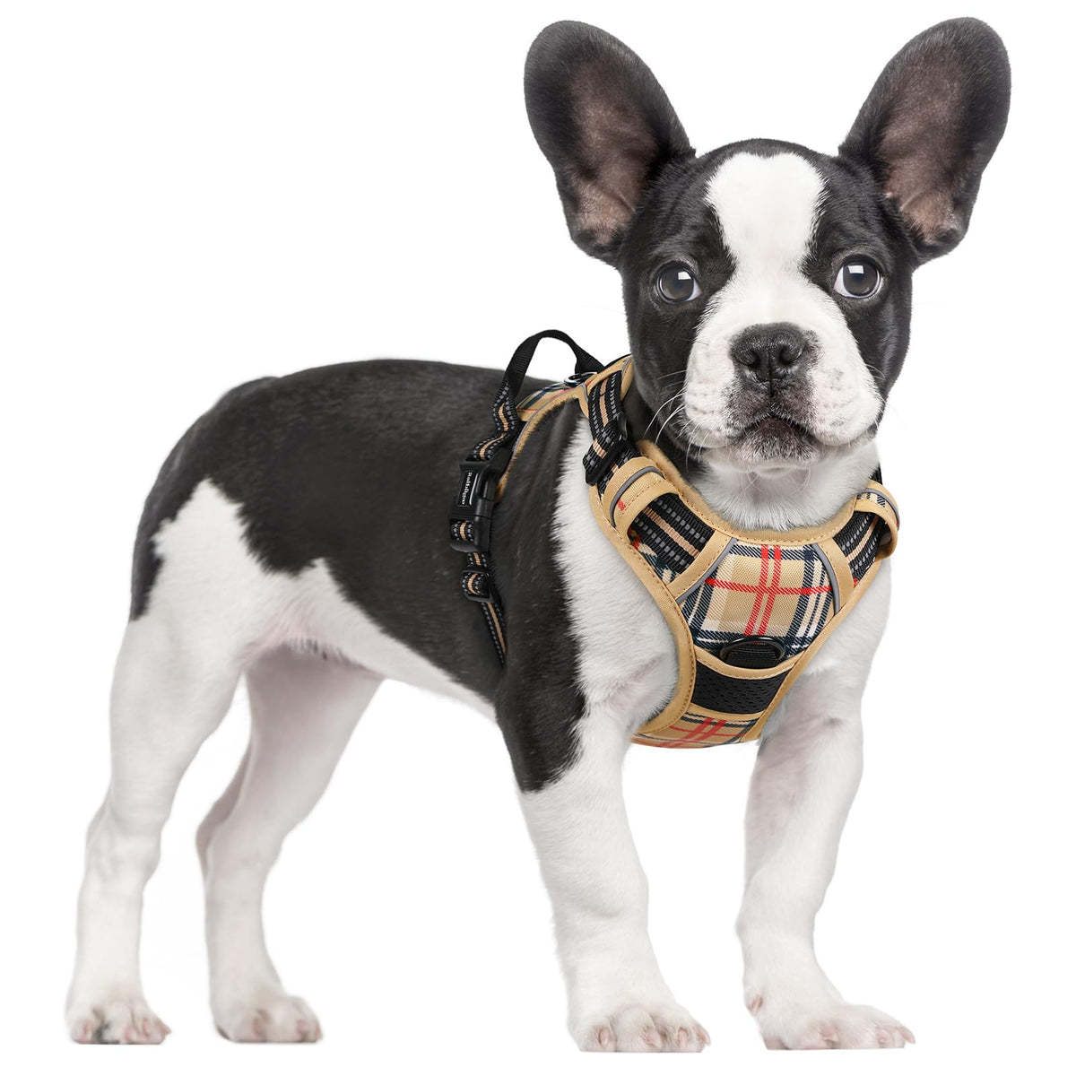 rabbitgoo Dog Harness No Pull with 2 Leash Clips, Adjustable Soft Padded, Reflective Oxford No Choke Pet Vest with Easy Control Handle for Large Dogs