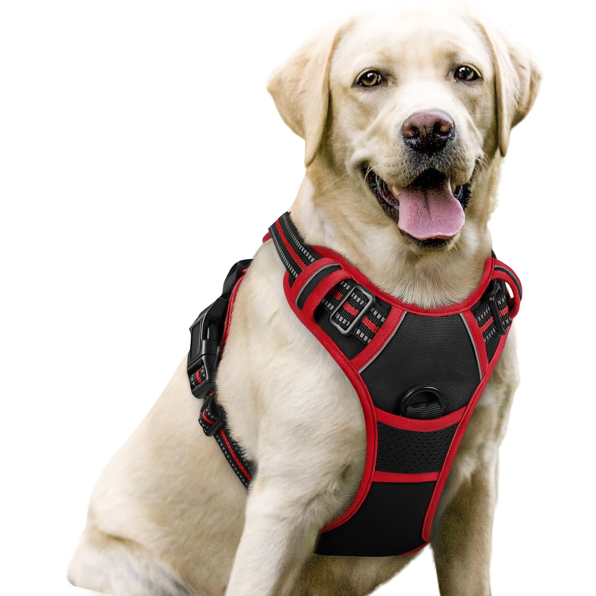 rabbitgoo Dog Harness No Pull with 2 Leash Clips, Adjustable Soft Padded, Reflective Oxford No Choke Pet Vest with Easy Control Handle for Large Dogs