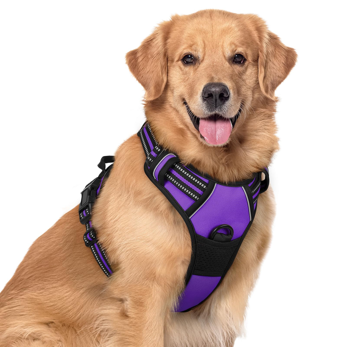 rabbitgoo Dog Harness No Pull with 2 Leash Clips, Adjustable Soft Padded, Reflective Oxford No Choke Pet Vest with Easy Control Handle for Large Dogs