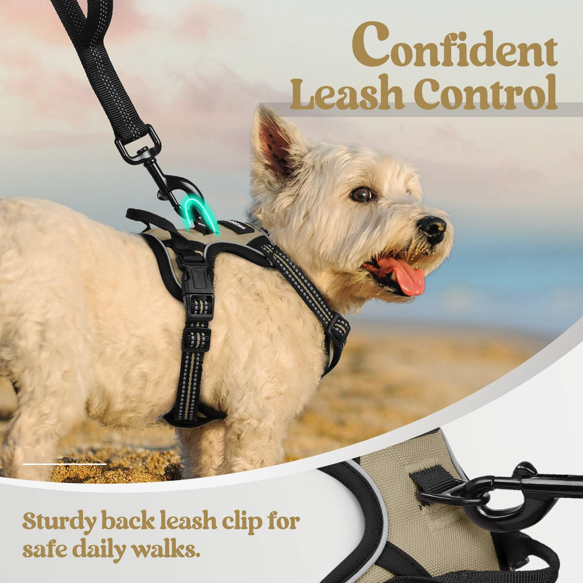 rabbitgoo Dog Harness No Pull with 2 Leash Clips, Adjustable Soft Padded, Reflective Oxford No Choke Pet Vest with Easy Control Handle for Large Dogs
