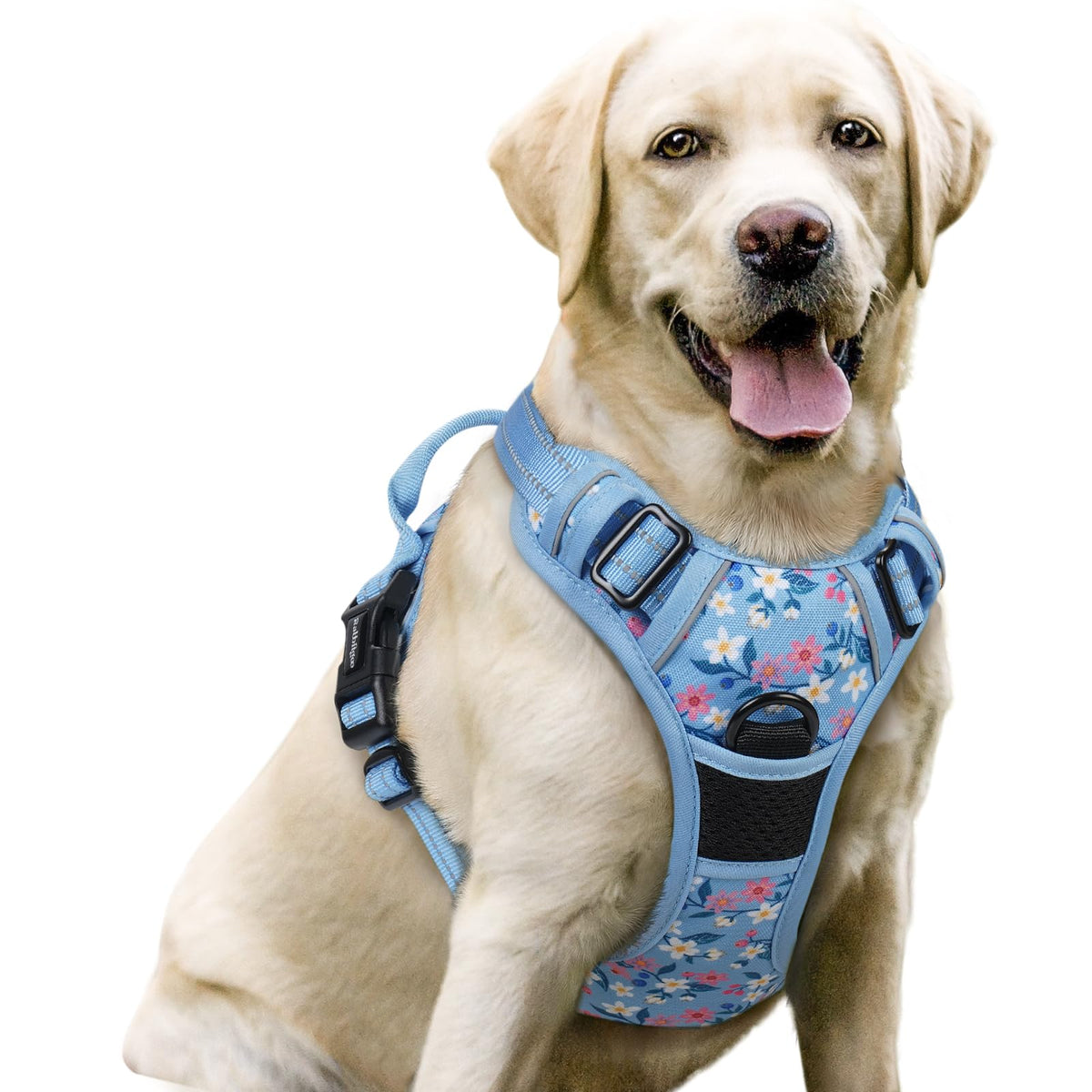 rabbitgoo Dog Harness No Pull with 2 Leash Clips, Adjustable Soft Padded, Reflective Oxford No Choke Pet Vest with Easy Control Handle for Large Dogs