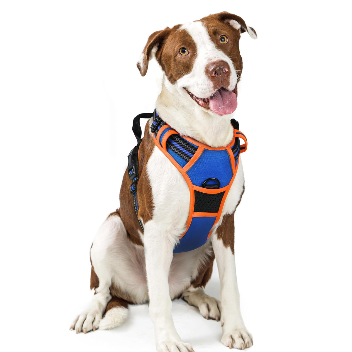 rabbitgoo Dog Harness No Pull with 2 Leash Clips, Adjustable Soft Padded, Reflective Oxford No Choke Pet Vest with Easy Control Handle for Large Dogs