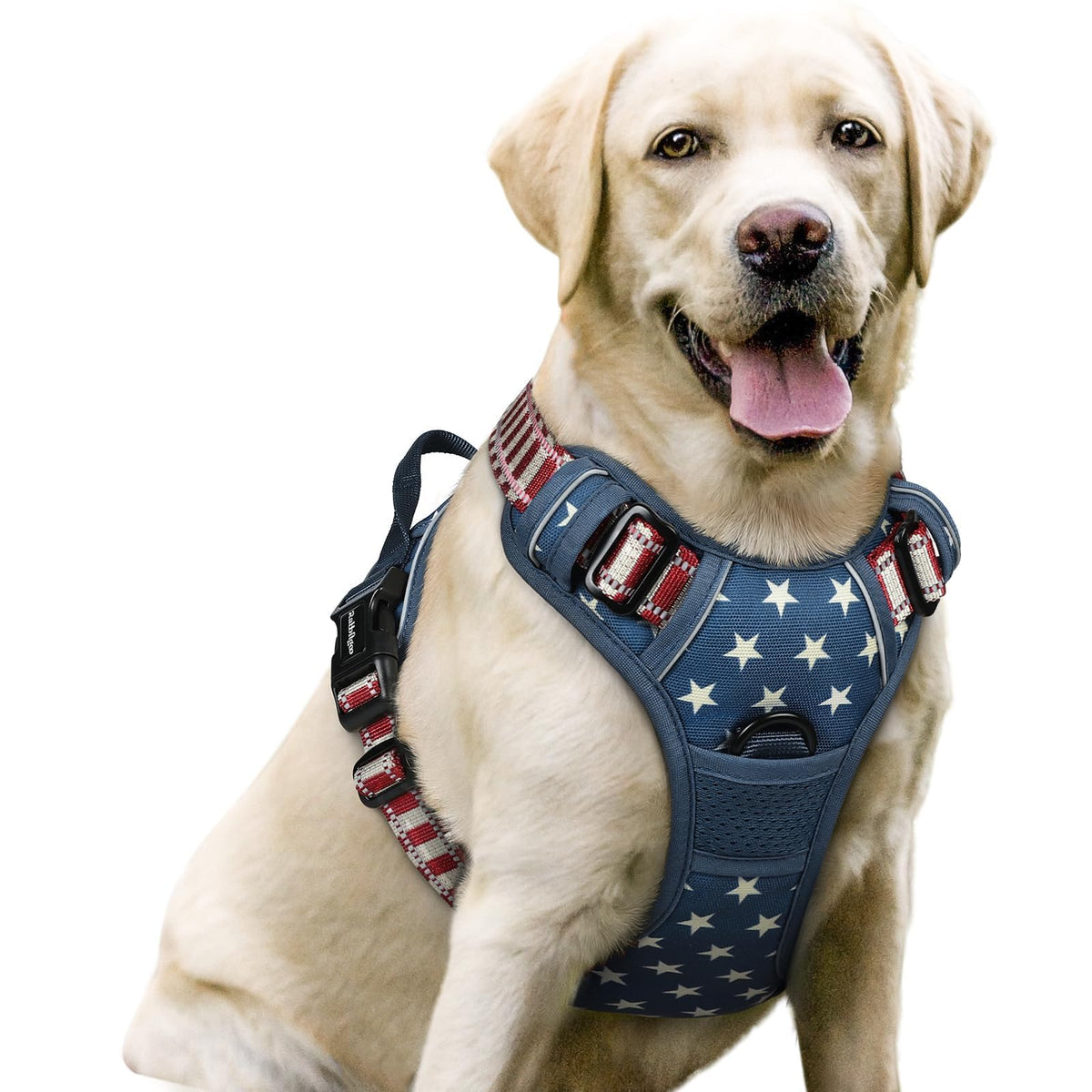 rabbitgoo Dog Harness No Pull with 2 Leash Clips, Adjustable Soft Padded, Reflective Oxford No Choke Pet Vest with Easy Control Handle for Large Dogs