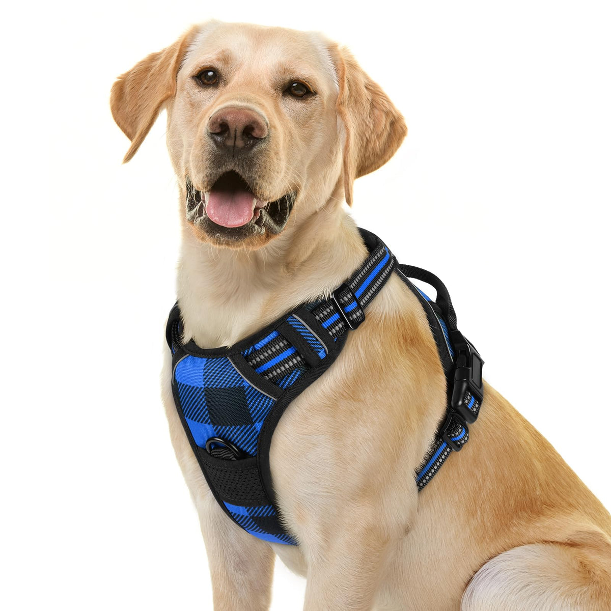 rabbitgoo Dog Harness No Pull with 2 Leash Clips, Adjustable Soft Padded, Reflective Oxford No Choke Pet Vest with Easy Control Handle for Large Dogs