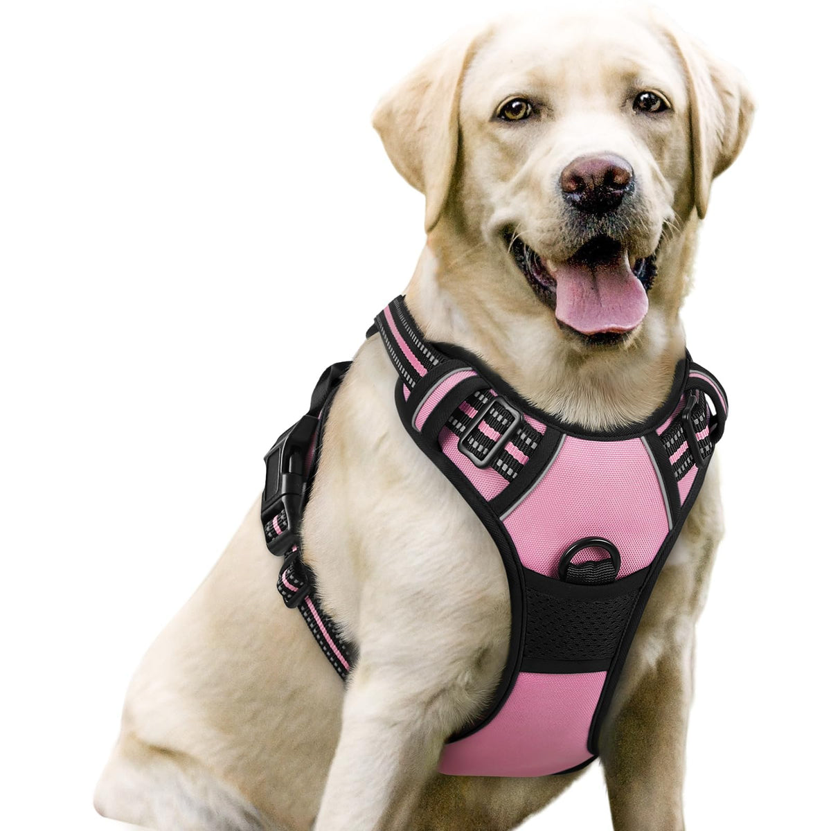 rabbitgoo Dog Harness No Pull with 2 Leash Clips, Adjustable Soft Padded, Reflective Oxford No Choke Pet Vest with Easy Control Handle for Large Dogs