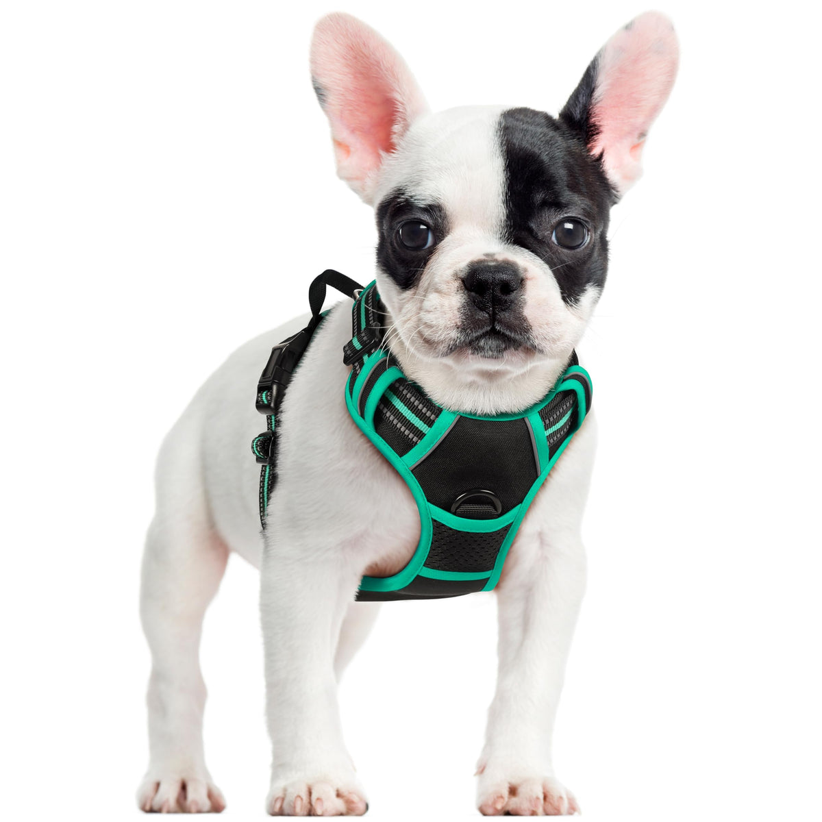 rabbitgoo Dog Harness No Pull with 2 Leash Clips, Adjustable Soft Padded, Reflective Oxford No Choke Pet Vest with Easy Control Handle for Large Dogs