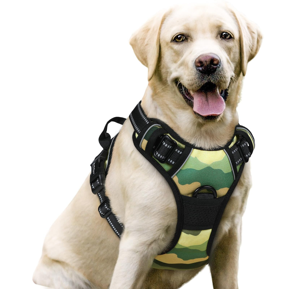 rabbitgoo Dog Harness No Pull with 2 Leash Clips, Adjustable Soft Padded, Reflective Oxford No Choke Pet Vest with Easy Control Handle for Large Dogs