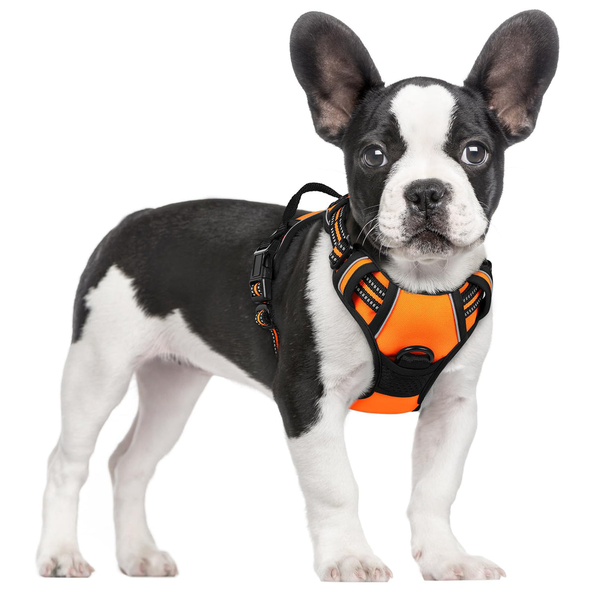 rabbitgoo Dog Harness No Pull with 2 Leash Clips, Adjustable Soft Padded, Reflective Oxford No Choke Pet Vest with Easy Control Handle for Large Dogs