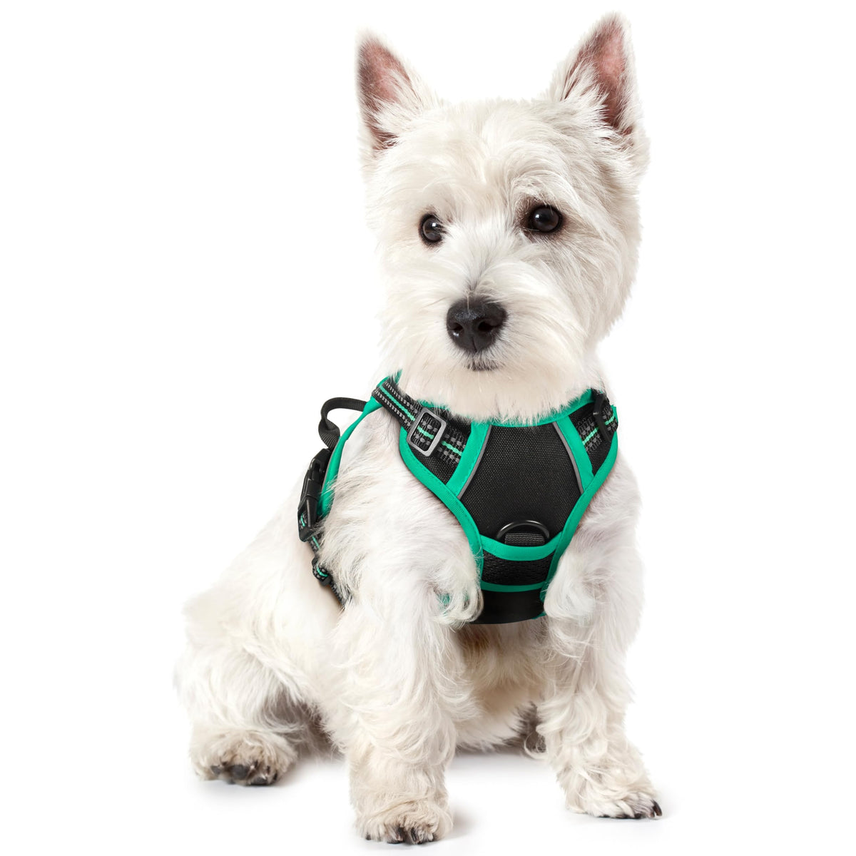 rabbitgoo Dog Harness No Pull with 2 Leash Clips, Adjustable Soft Padded, Reflective Oxford No Choke Pet Vest with Easy Control Handle for Large Dogs