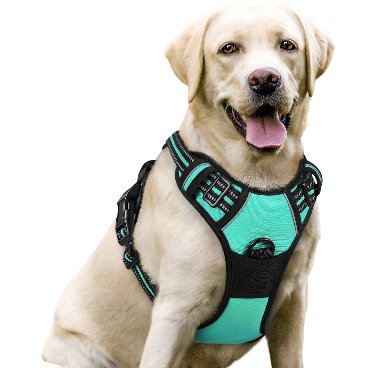 rabbitgoo Dog Harness No Pull with 2 Leash Clips, Adjustable Soft Padded, Reflective Oxford No Choke Pet Vest with Easy Control Handle for Large Dogs