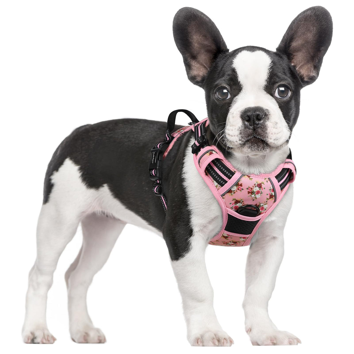 rabbitgoo Dog Harness No Pull with 2 Leash Clips, Adjustable Soft Padded, Reflective Oxford No Choke Pet Vest with Easy Control Handle for Large Dogs