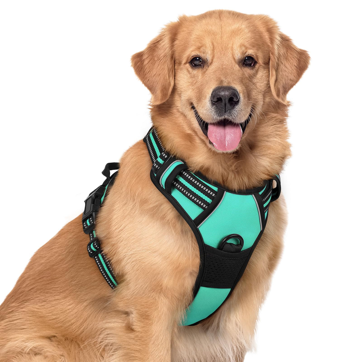 rabbitgoo Dog Harness No Pull with 2 Leash Clips, Adjustable Soft Padded, Reflective Oxford No Choke Pet Vest with Easy Control Handle for Large Dogs